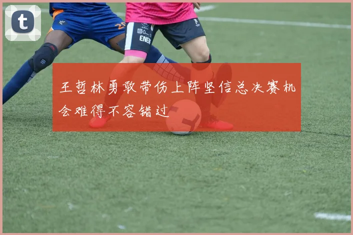 王哲林勇敢带伤上阵坚信总决赛机会难得不容错过