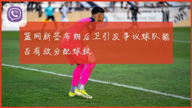 篮网新签布朗后卫引发争议球队能否有效分配球权